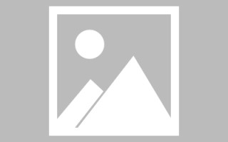 平阳网页设计开发（网页设计开发的课程图片怎么显示出来）