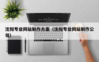 平阳沈阳专业网站制作方案（沈阳专业网站制作公司）